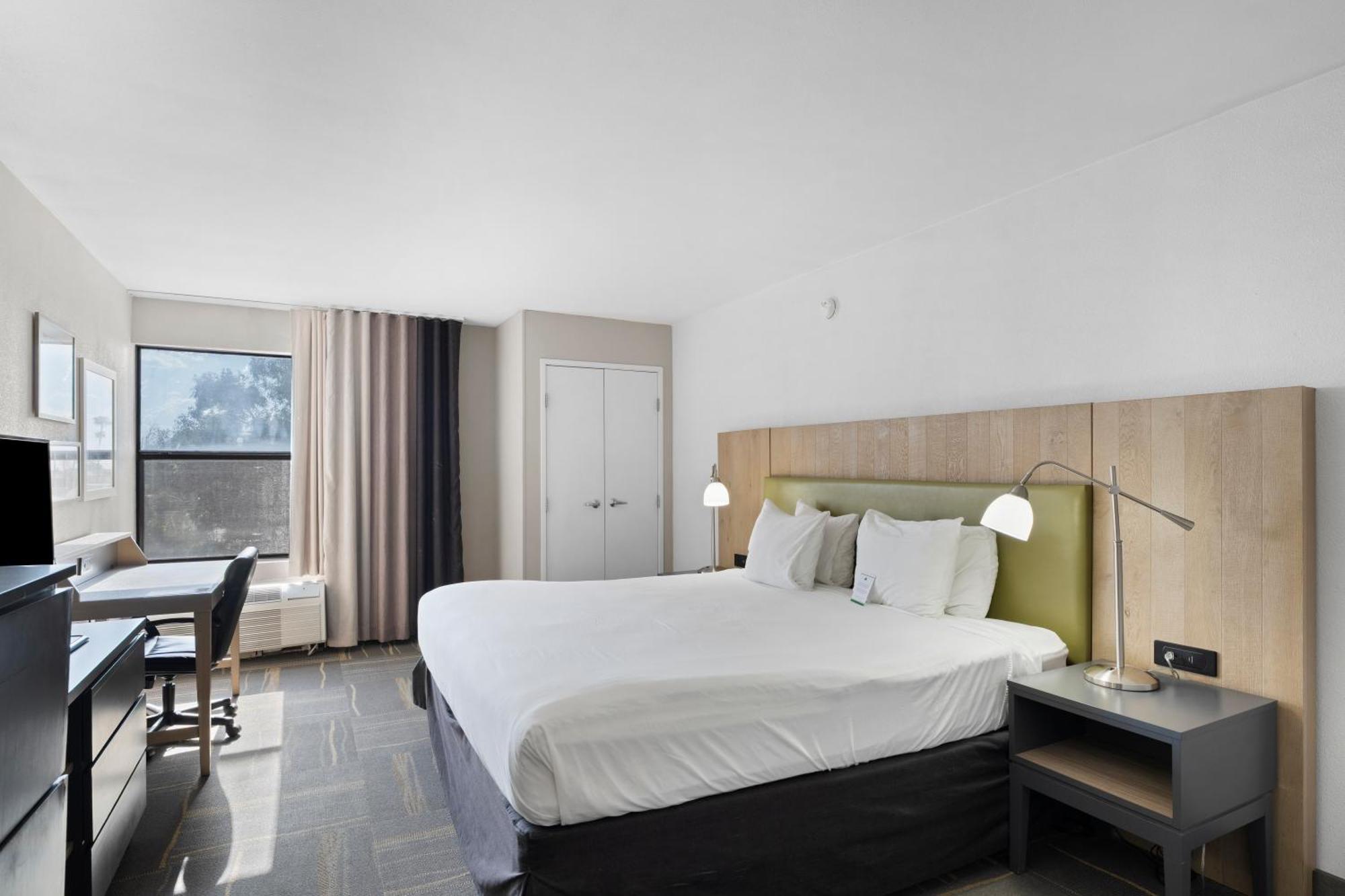 King Room